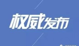 石家庄爆料小孩事件视频,真相与反思