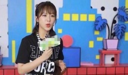 杨紫魏大勋最新爆料,揭秘幕后故事与幕后英雄