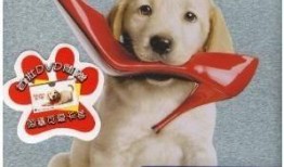 马利和我在线观看,宠物与主人间的真挚情感